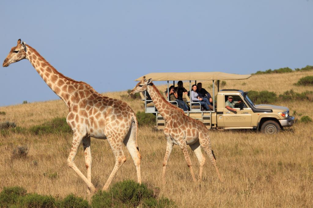 Botlierskop Bush Villas Sandhoogte Exterior foto