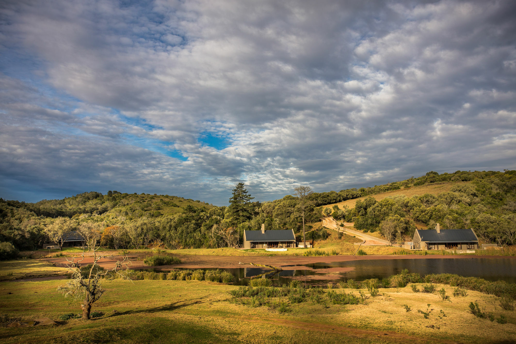 Botlierskop Bush Villas Sandhoogte Exterior foto